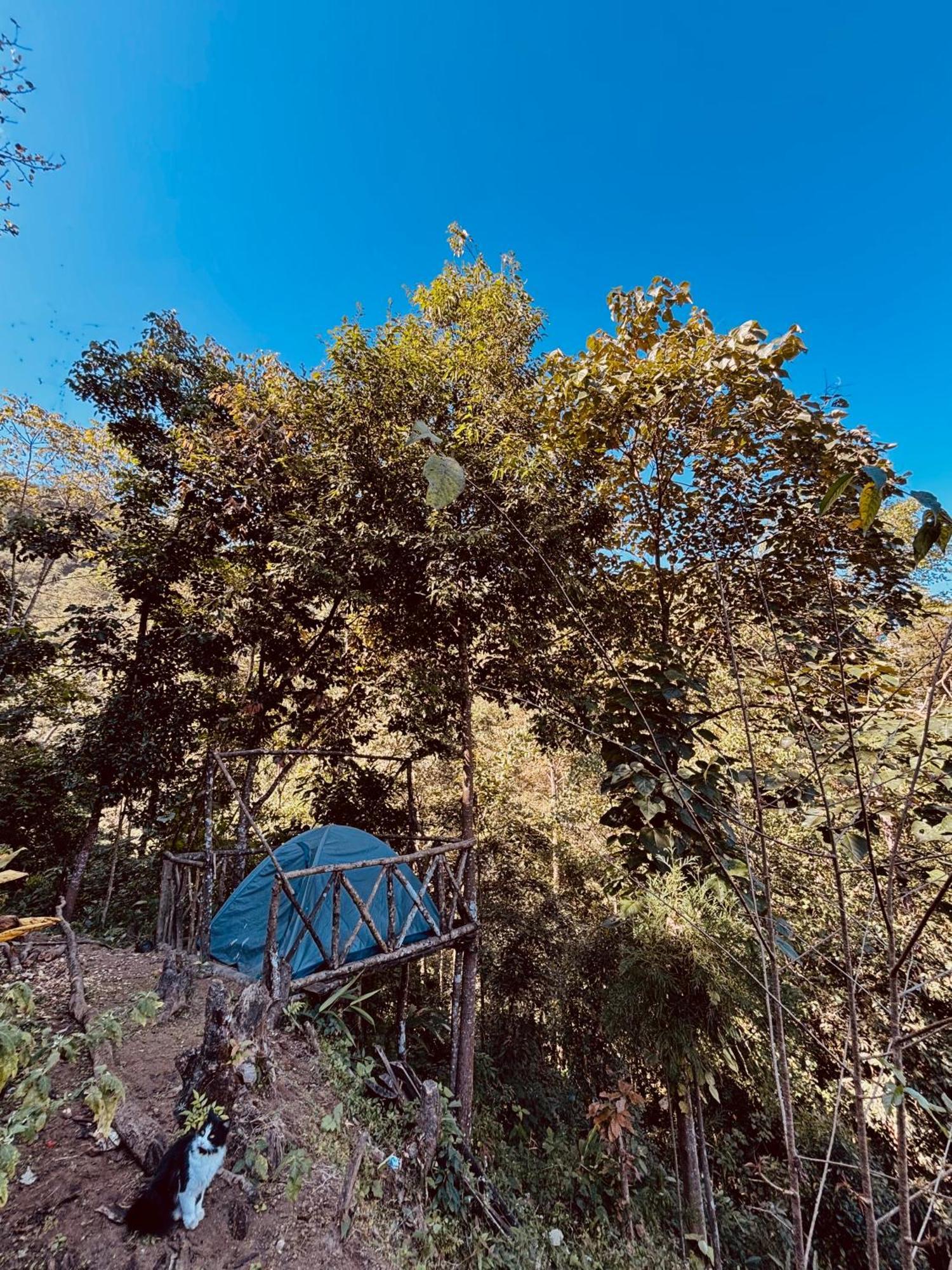 Hosanna Homestay Darjeeling  Exterior foto
